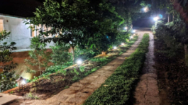 Bell-Coffee-Plantation-Project