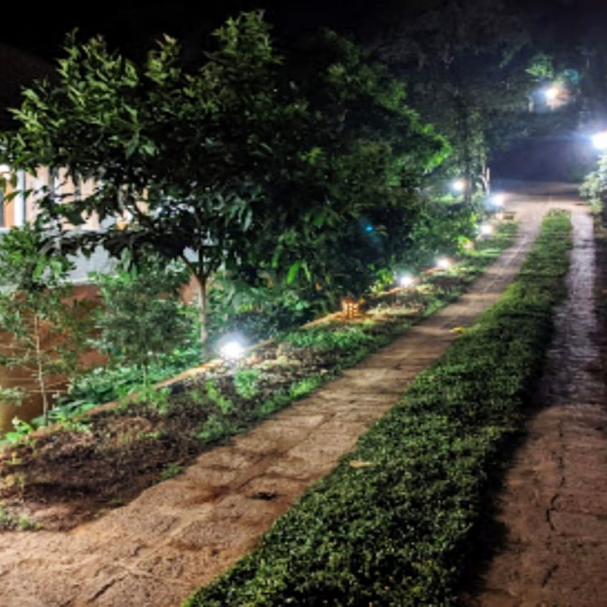 Bell-Coffee-Plantation-Project