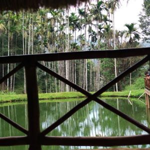 Bell-Coffee-Plantation-1pg